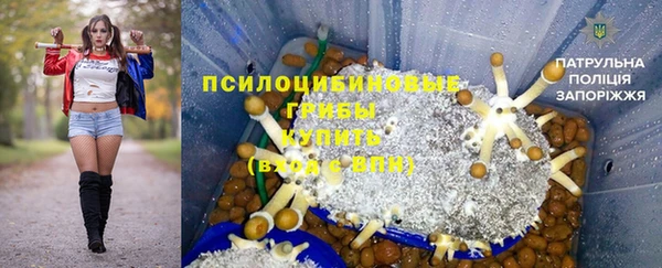 метадон Алексеевка